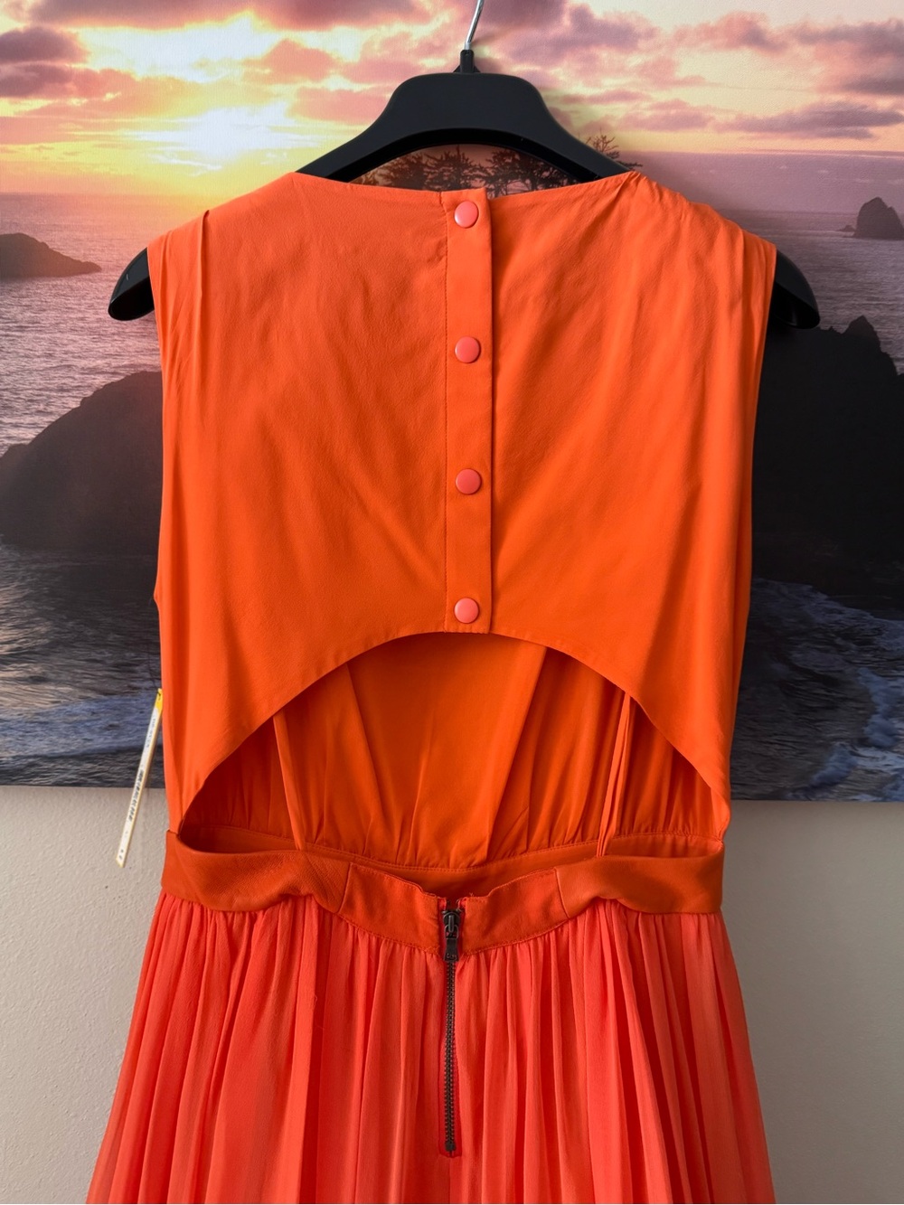 Alice+Olivia by Stacey Bendet Leather Waist Soft Orange Maxi Dress/ Gown/6/NWT - Picture 11 of 17